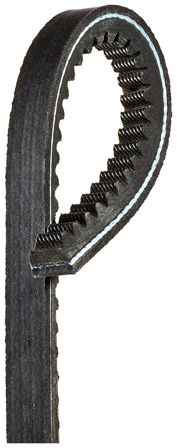 102400 - Dodge - AX24 BELT - 102400Dodge