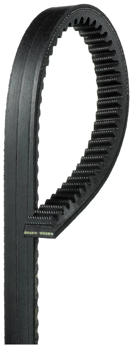 102573 - Dodge - BX74 BELT - 102573Dodge
