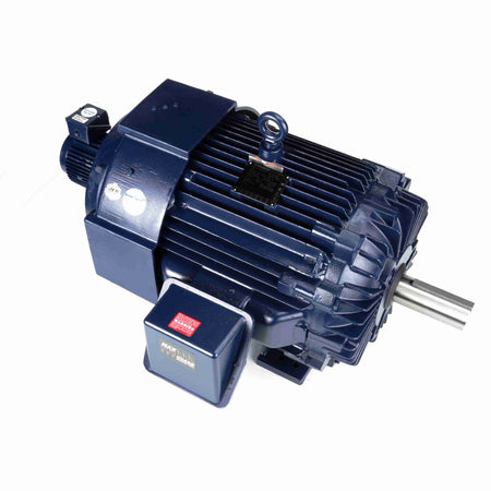 Marathon Electric Inverter (Vector) Duty Motor