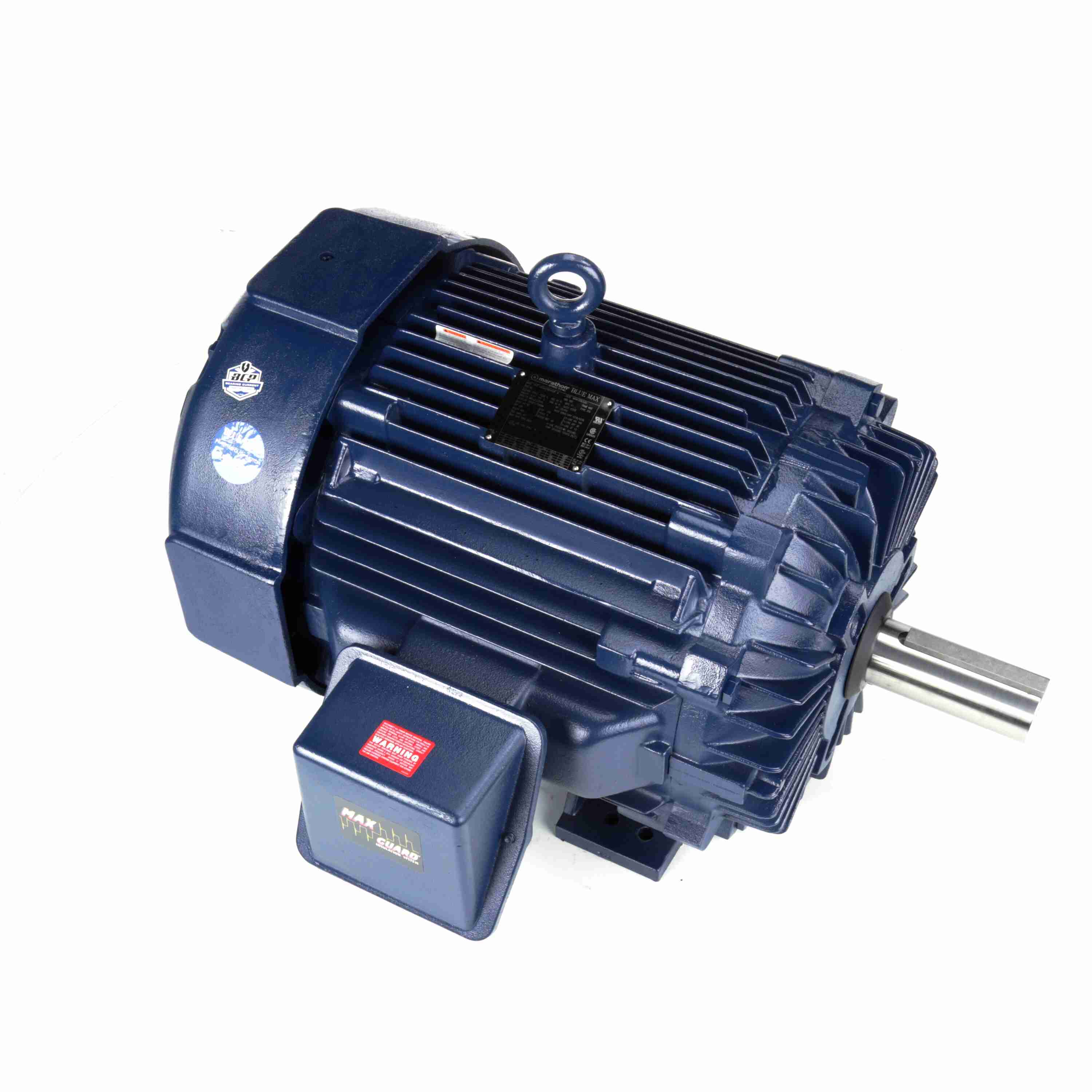 Marathon Electric Inverter (Vector) Duty Motor