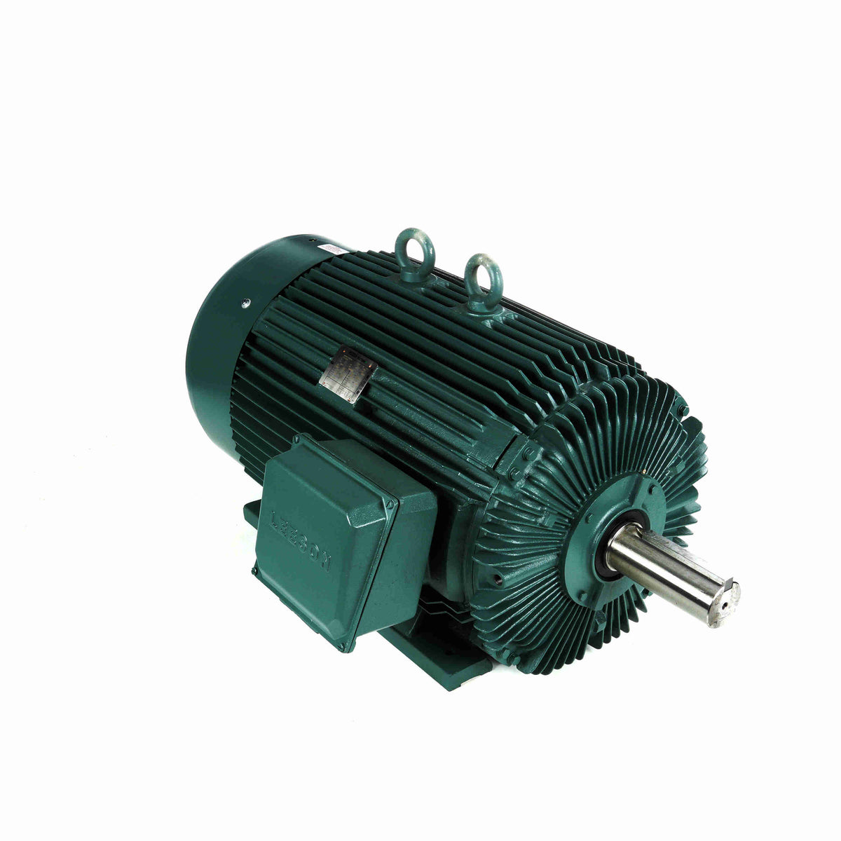 Marathon Electric Cooling Tower Motor, 3 Ph, 60 & 50 Hz, 230/460 & 190/380 V, 254T Frame, TEFC