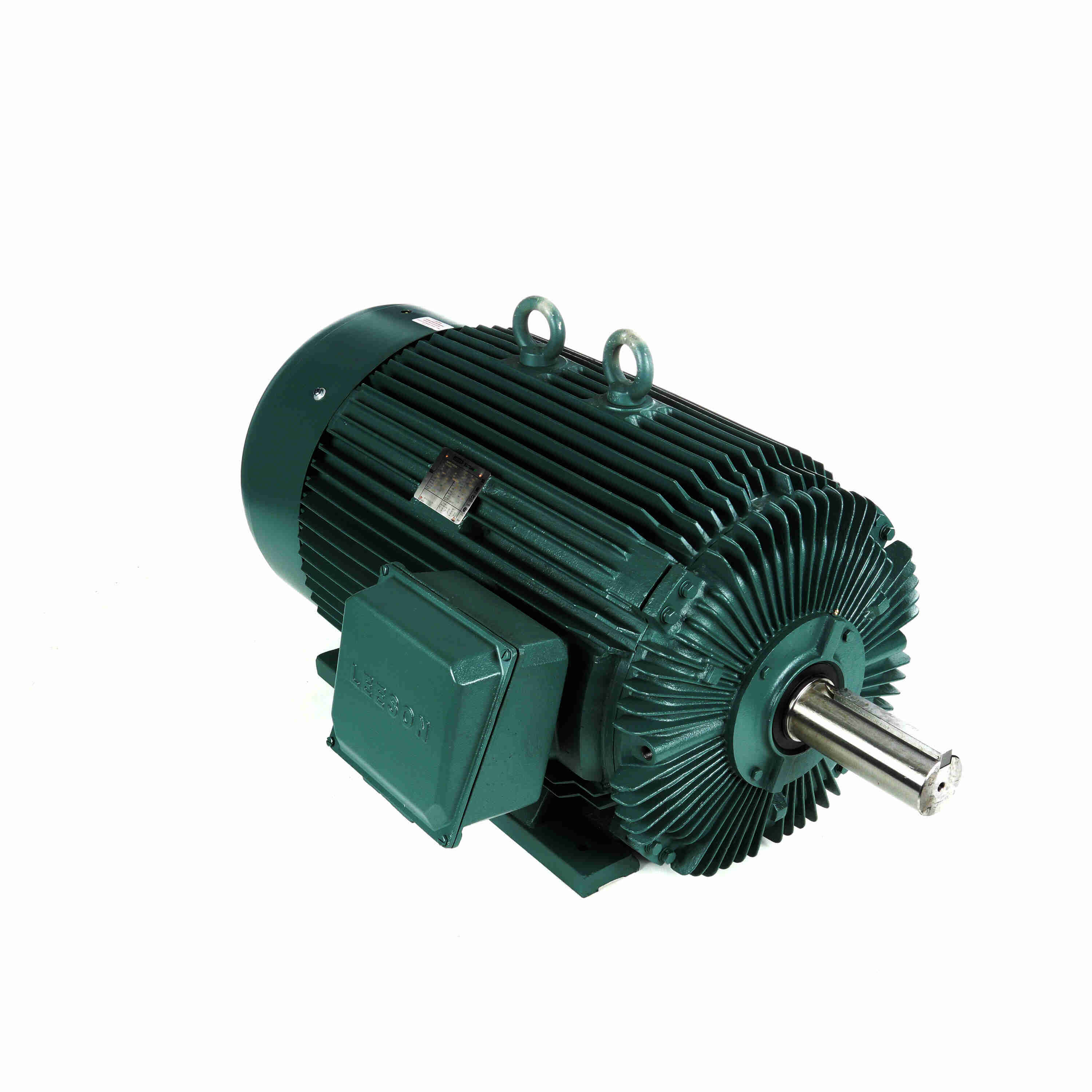 Marathon Electric Cooling Tower Motor, 3 Ph, 60 & 50 Hz, 230/460 & 190/380 V, 254T Frame, TEFC