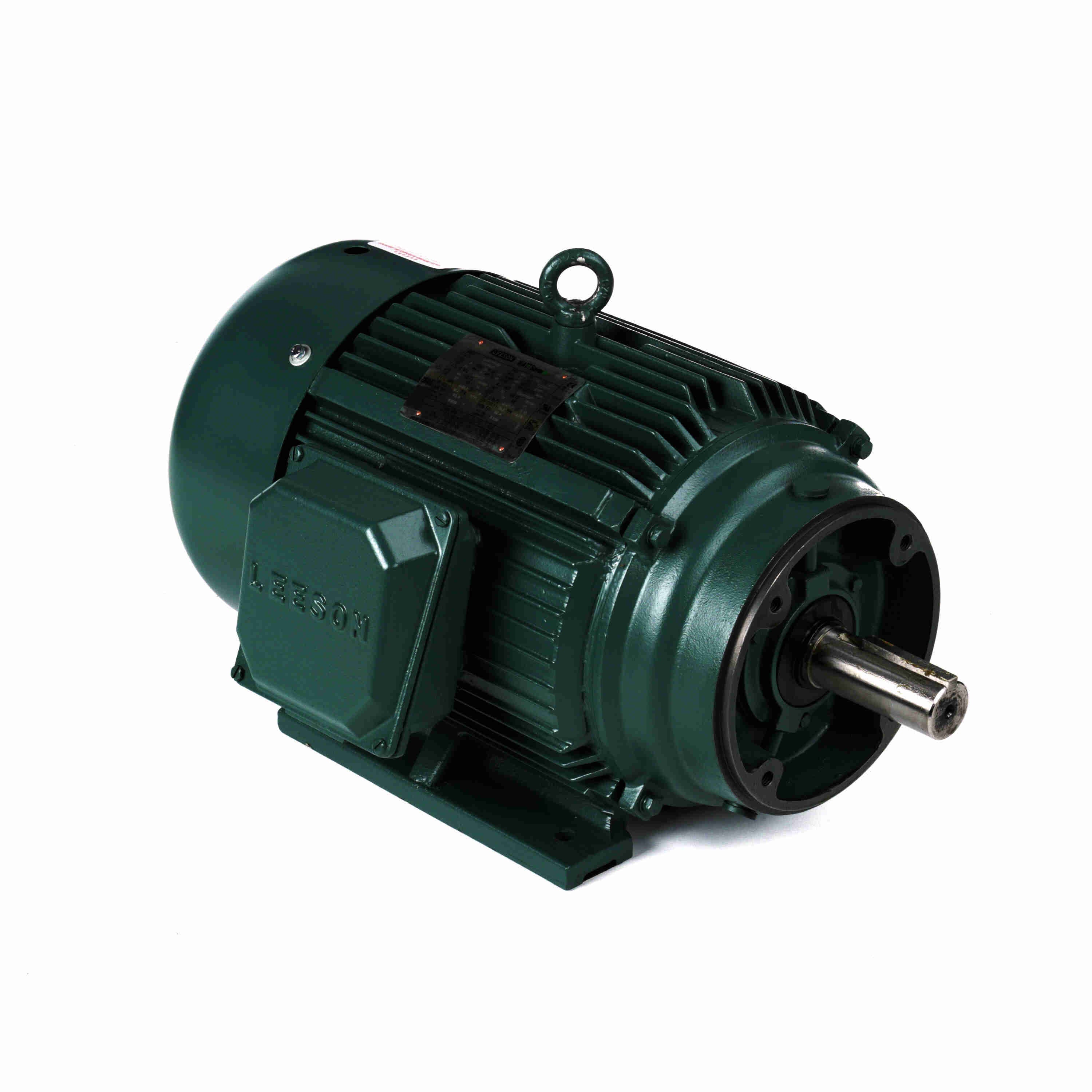 Marathon Electric Cooling Tower Motor, 3 Ph, 60 & 50 Hz, 230/460 & 190/380 V, 254TV Frame, TEAO