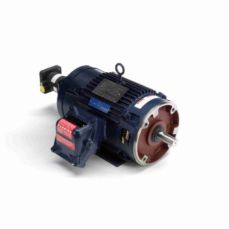 Marathon Electric Inverter (Vector) Duty Motor
