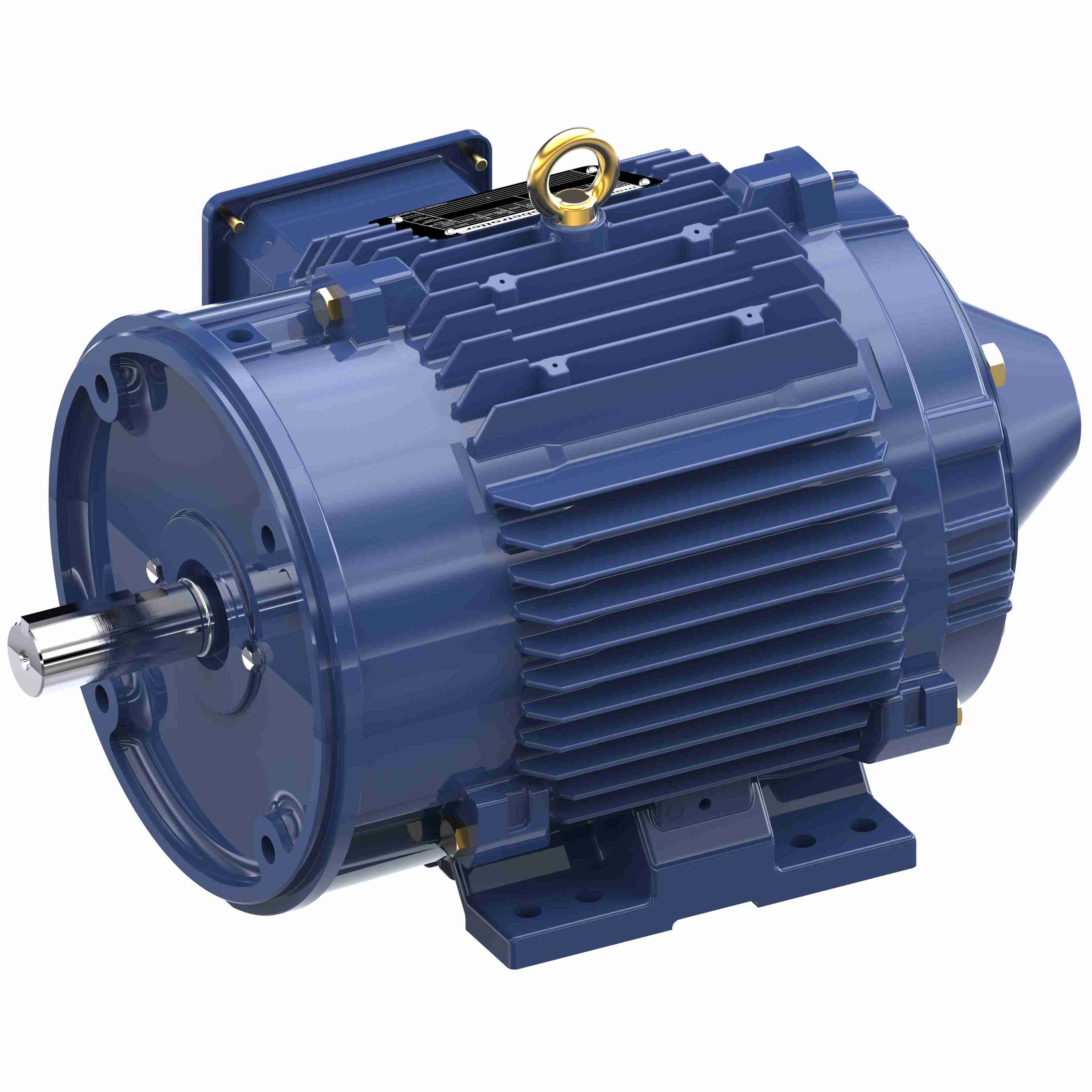 Marathon Electric Inverter (Vector) Duty Motor