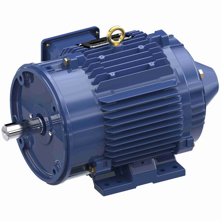 Marathon Electric Inverter (Vector) Duty Motor