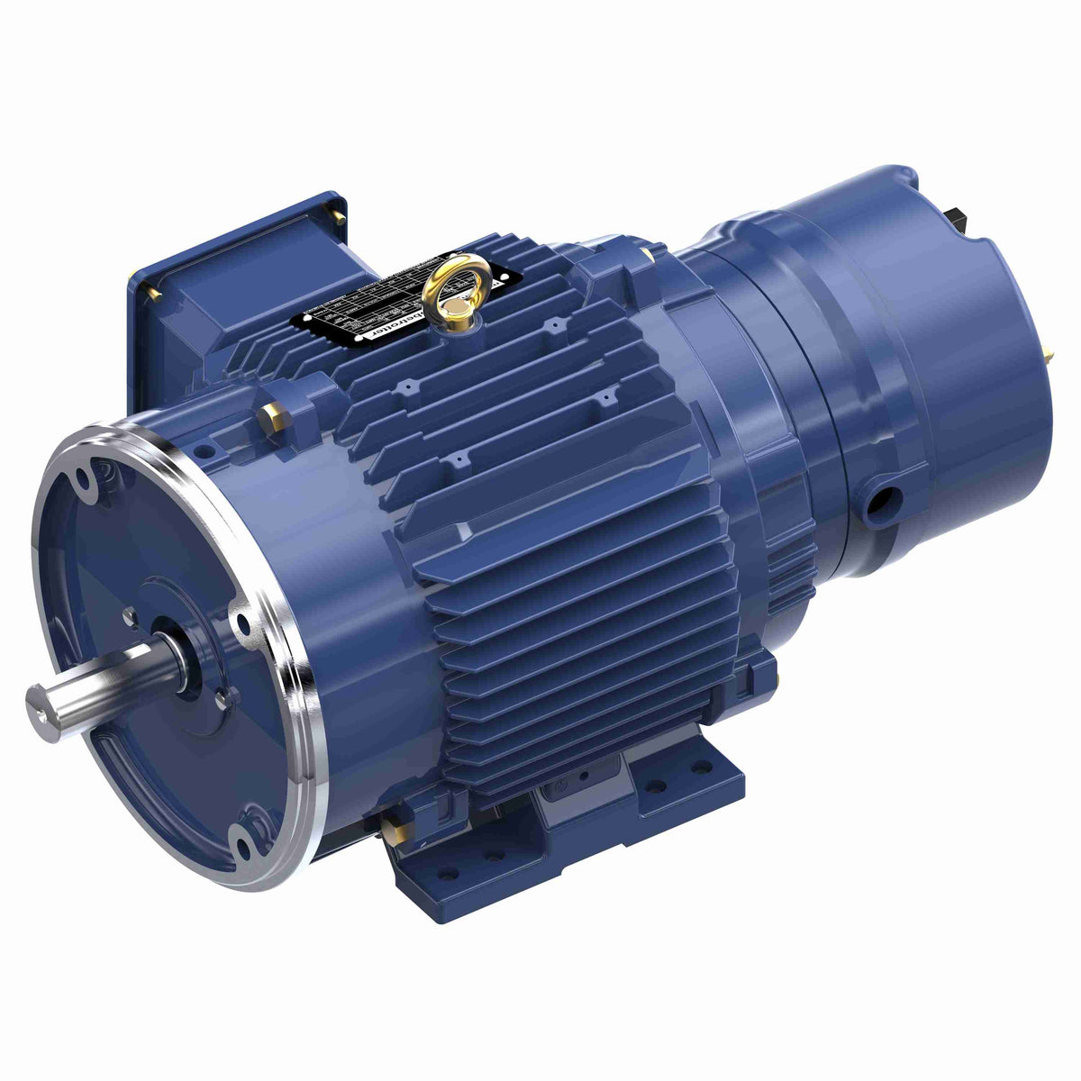 Marathon Electric Inverter (Vector) Duty Motor