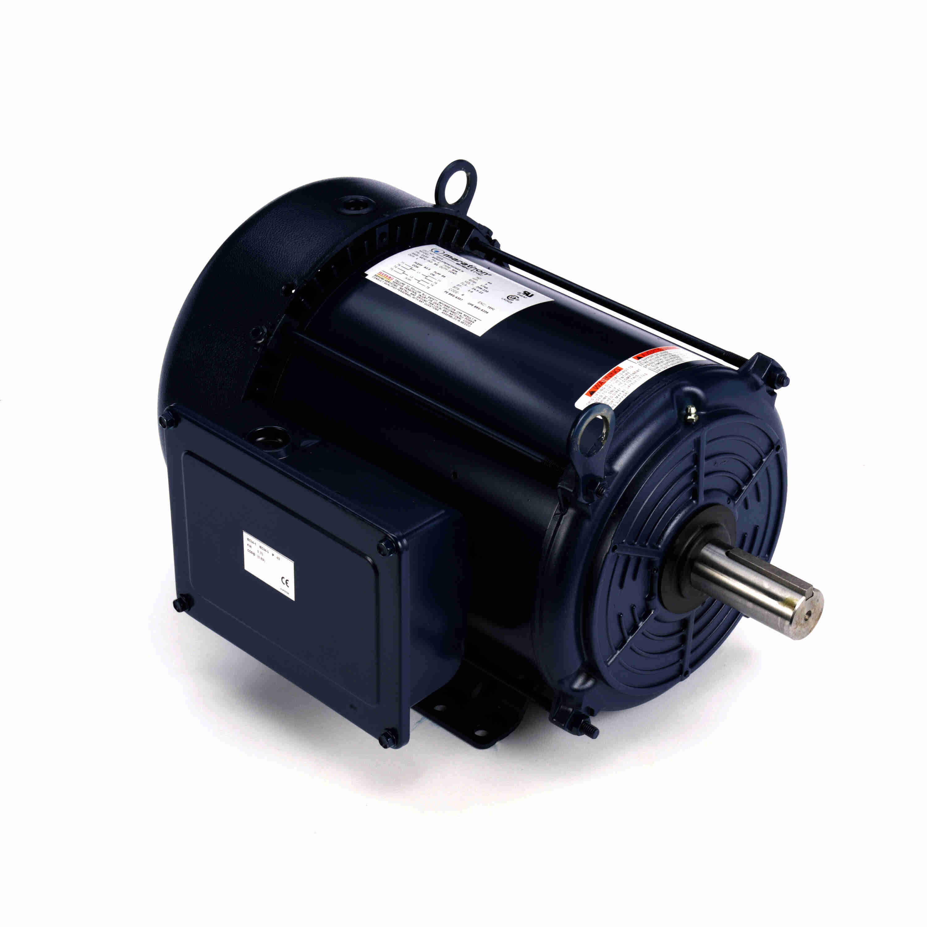 Marathon Electric Inverter (Vector) Duty Motor