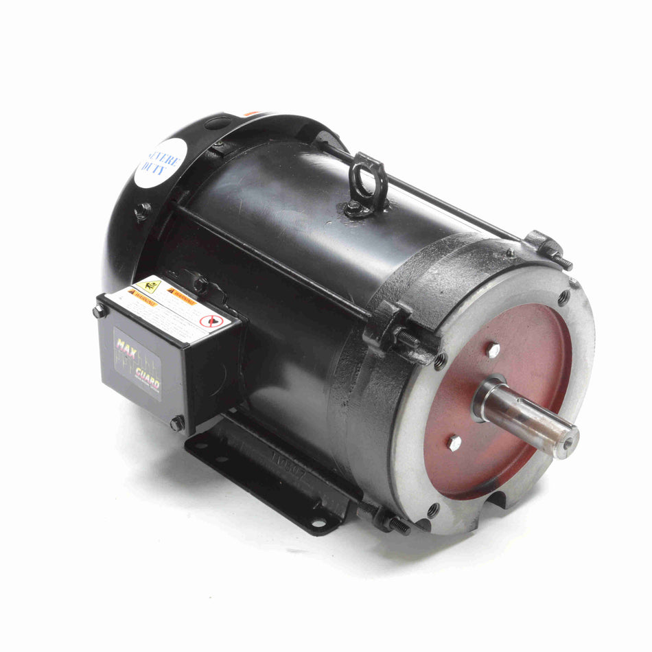 Marathon Electric Inverter (Vector) Duty Motor