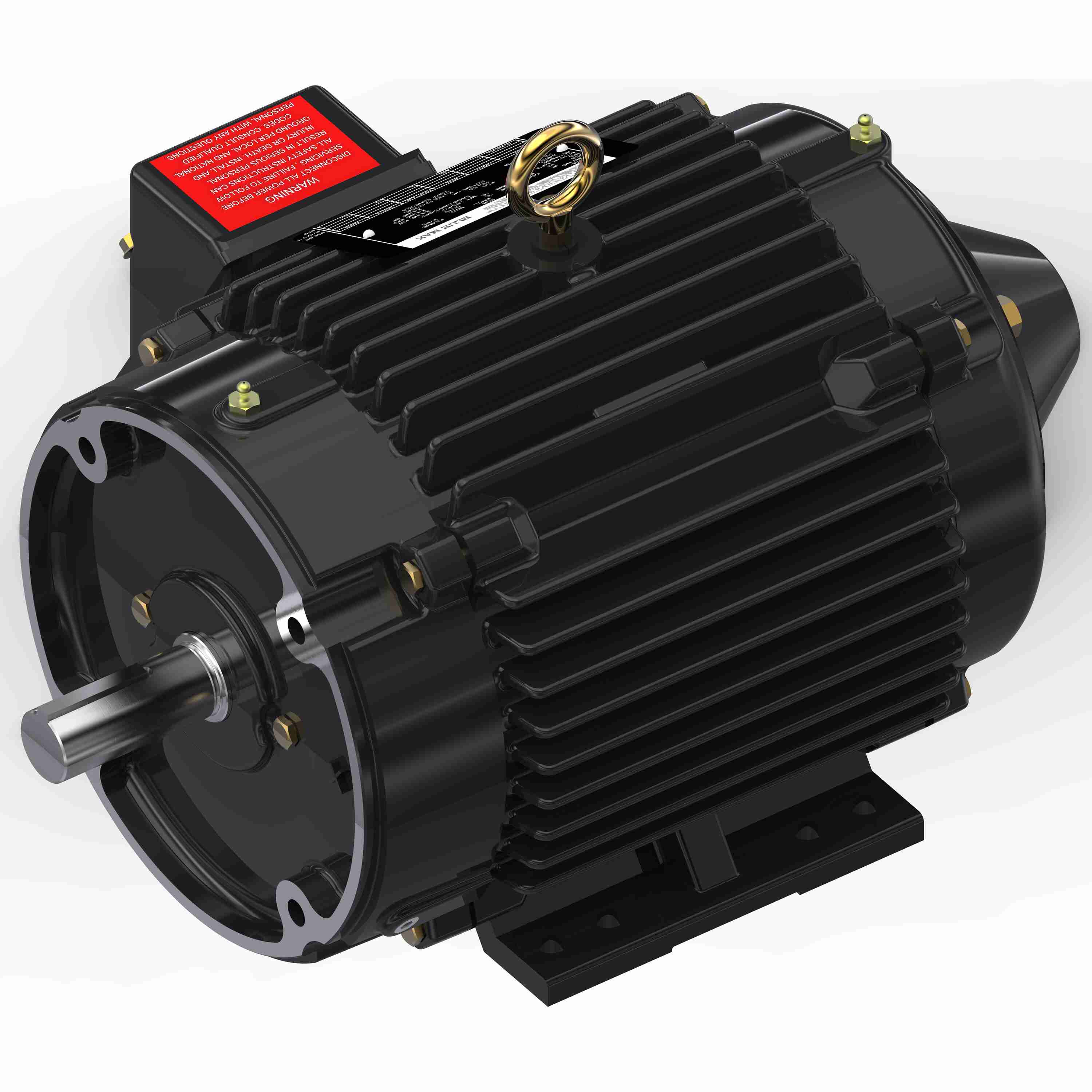 Marathon Electric Inverter (Vector) Duty Motor