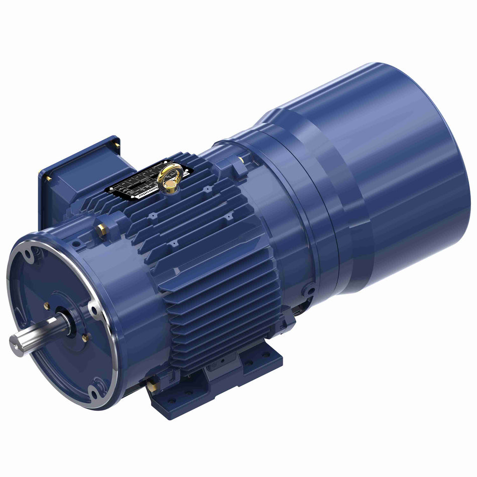 Marathon Electric Inverter (Vector) Duty Motor