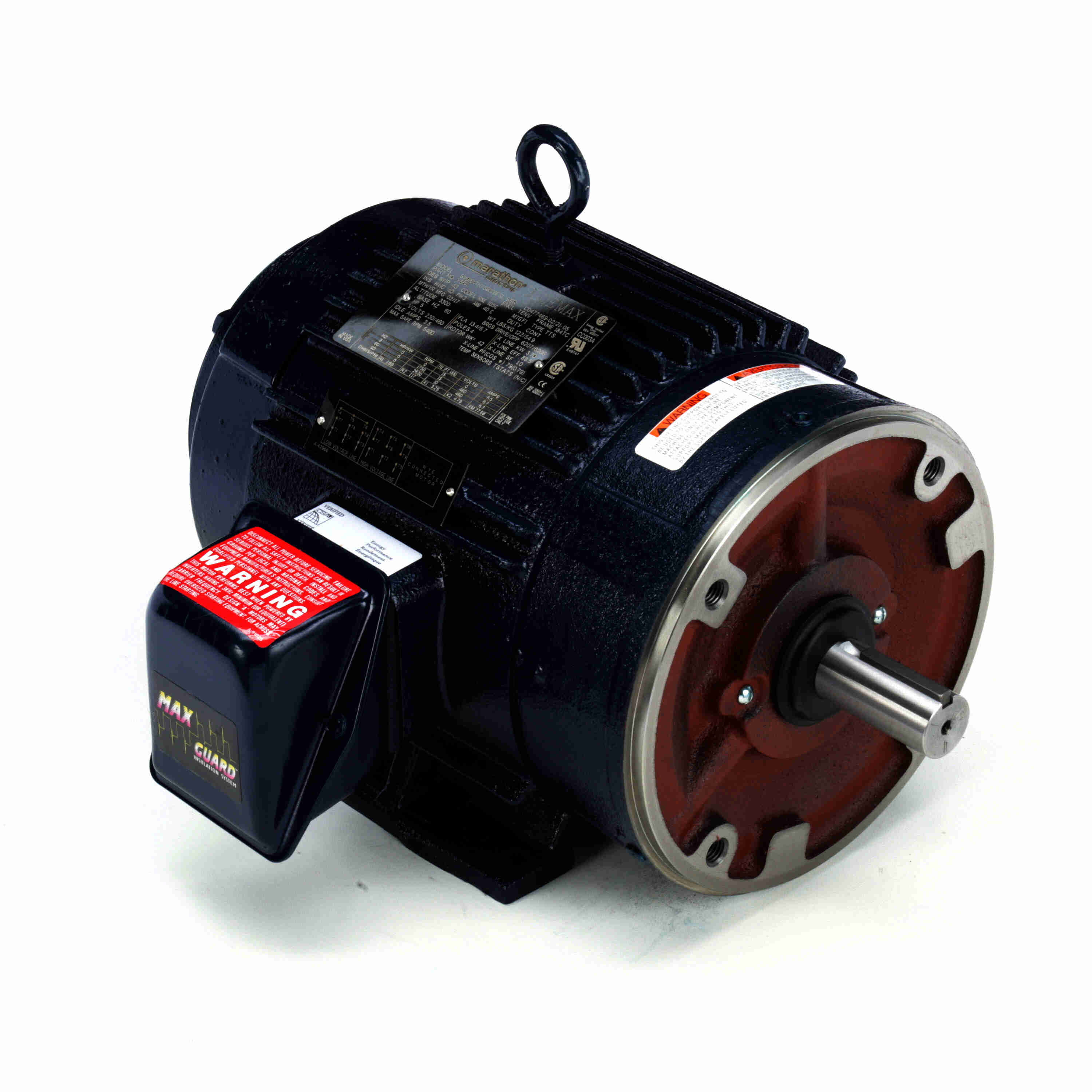 Marathon Electric Inverter (Vector) Duty Motor