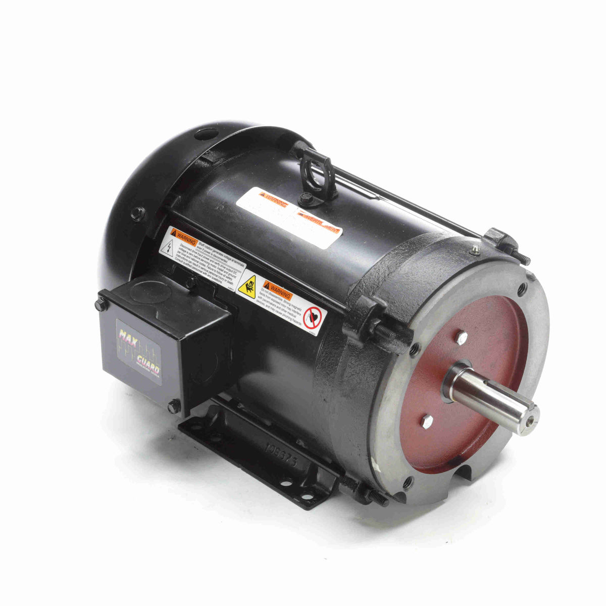 Marathon Electric Inverter (Vector) Duty Motor