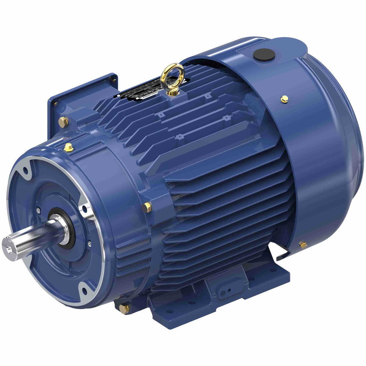 Marathon Electric Inverter (Vector) Duty Motor