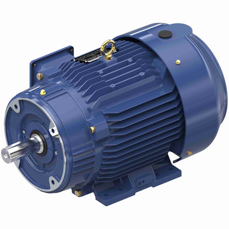 Marathon Electric Inverter (Vector) Duty Motor