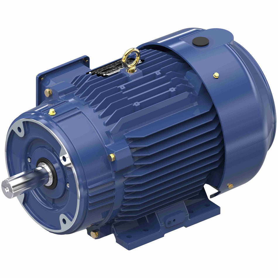 Marathon Electric Inverter (Vector) Duty Motor