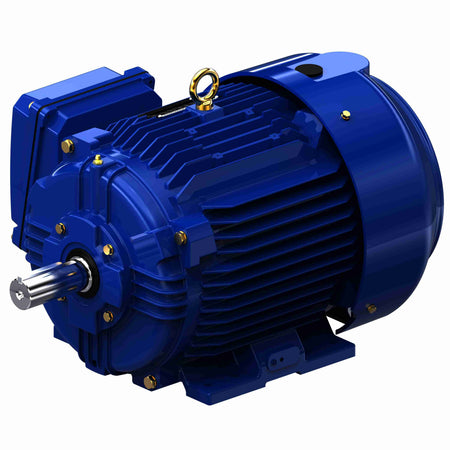 Marathon Electric Severe Duty Motor, 2 HP, 3 Ph, 60 Hz, 460 V, 900 RPM, 213T Frame, TEFC