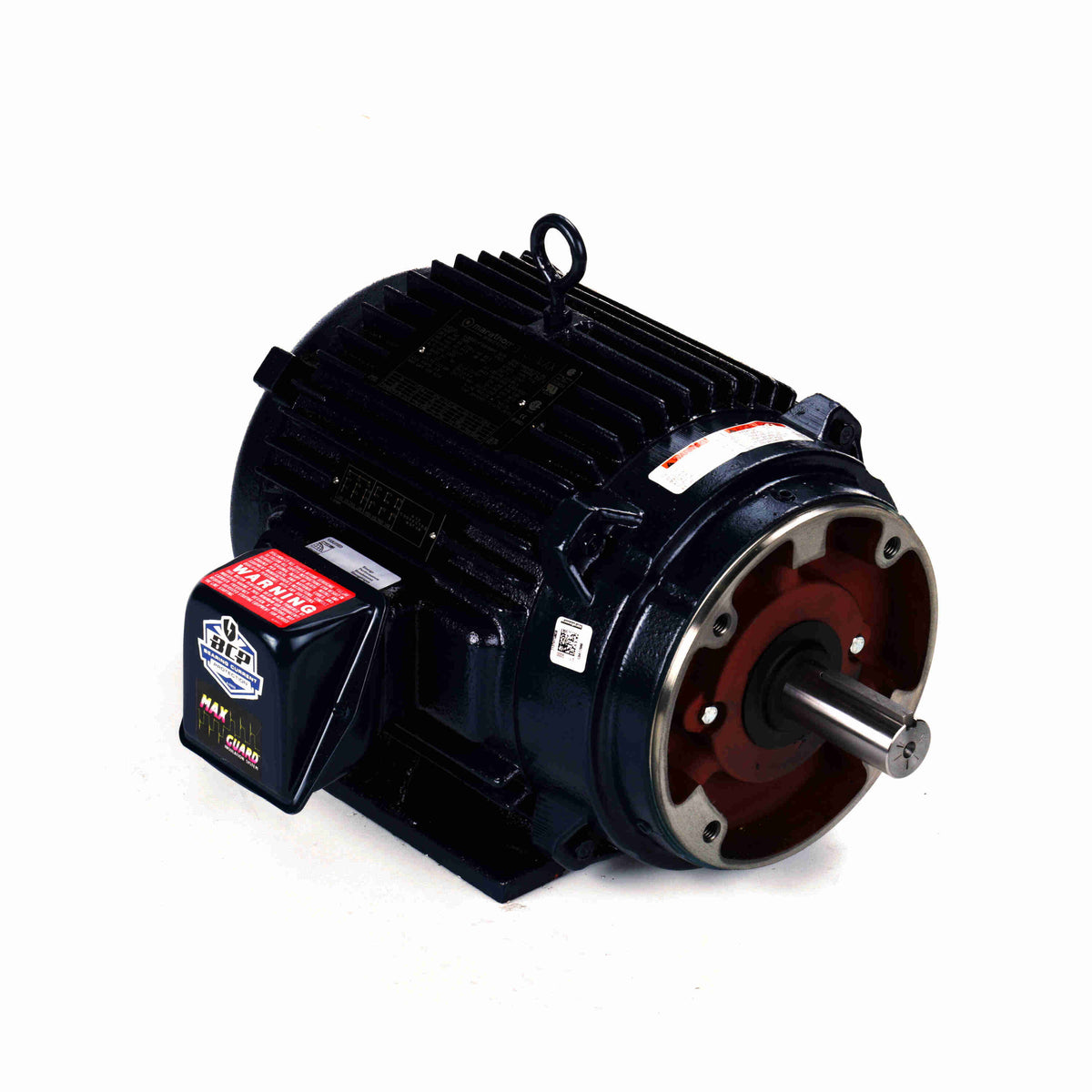 Marathon Electric Inverter (Vector) Duty Motor