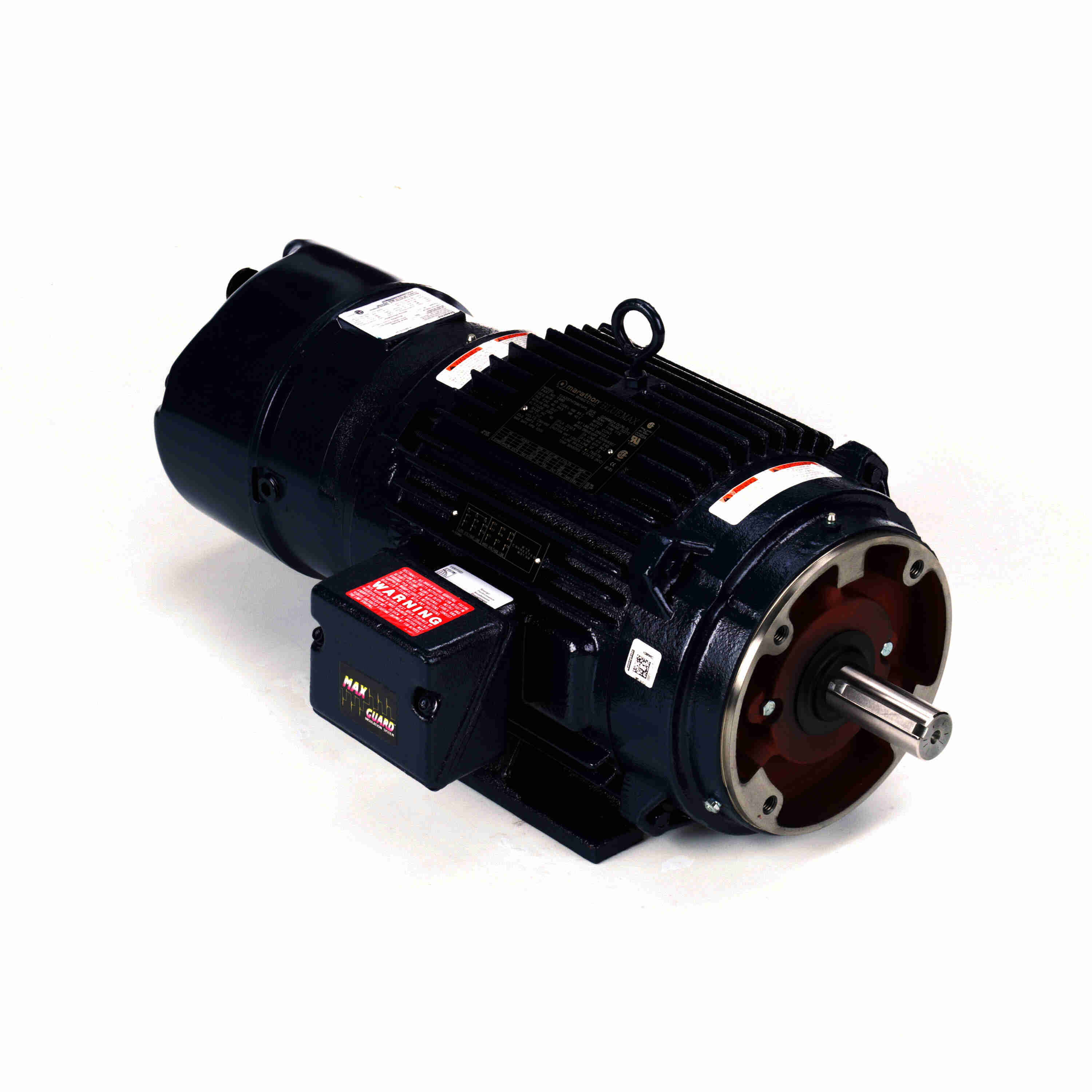 Marathon Electric Inverter (Vector) Duty Motor