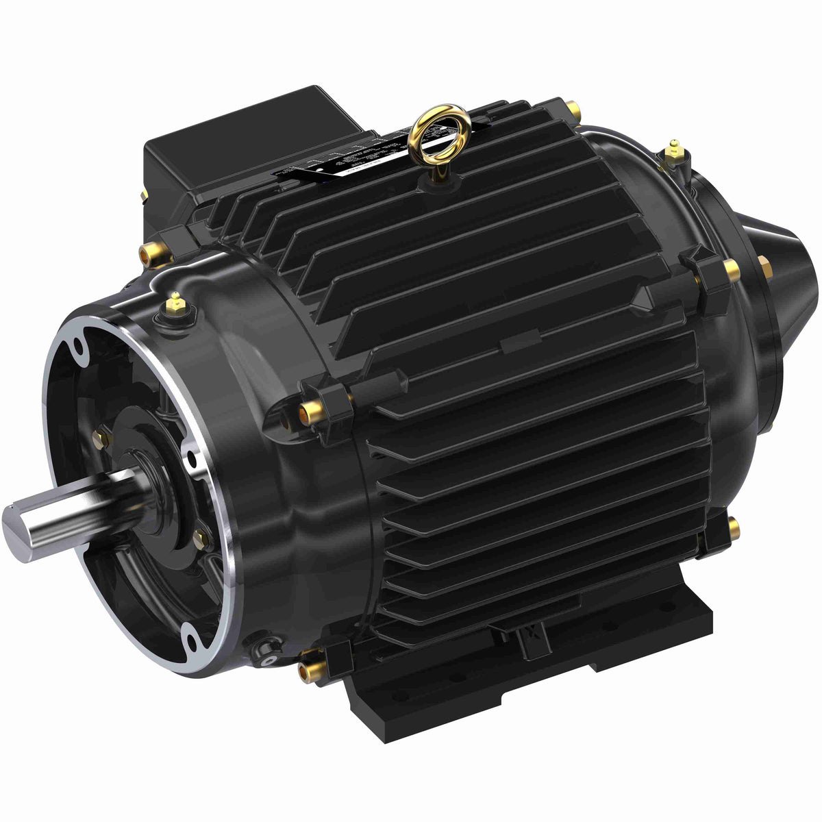 Marathon Electric Inverter (Vector) Duty Motor