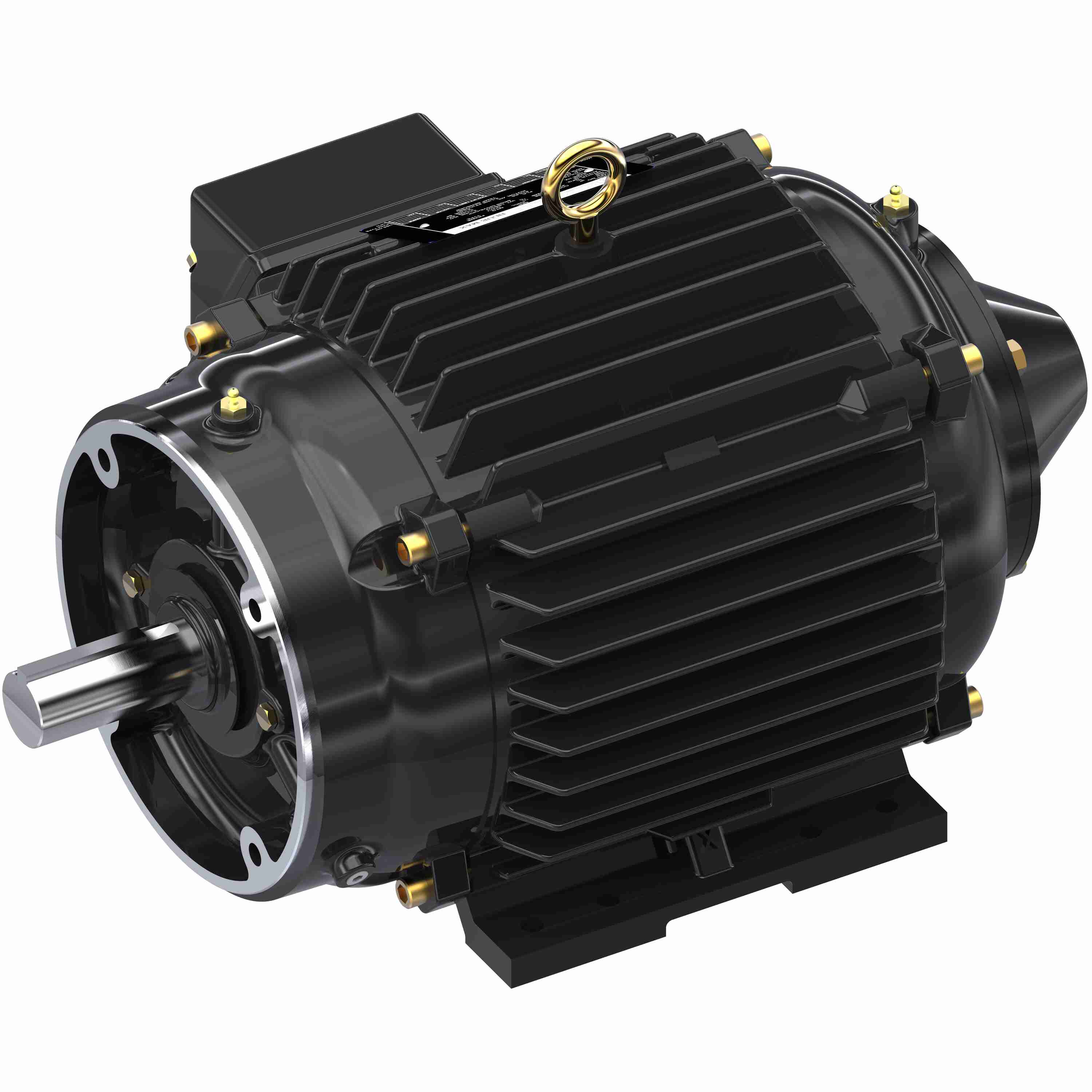 Marathon Electric Inverter (Vector) Duty Motor