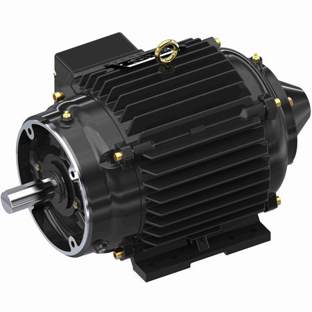 Marathon Electric Inverter (Vector) Duty Motor