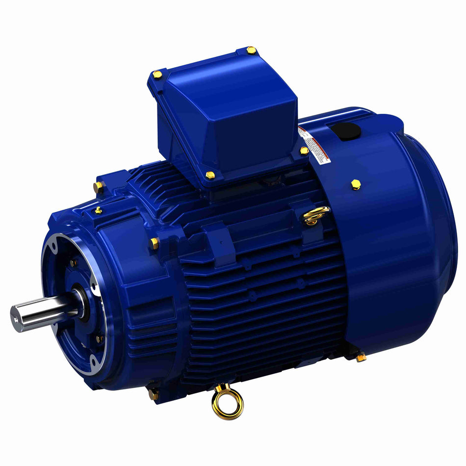 Marathon Electric Severe Duty Motor, 10 HP, 3 Ph, 60 Hz, 460 V, 1800 & 1800 RPM, 215TCV Frame, TEFC