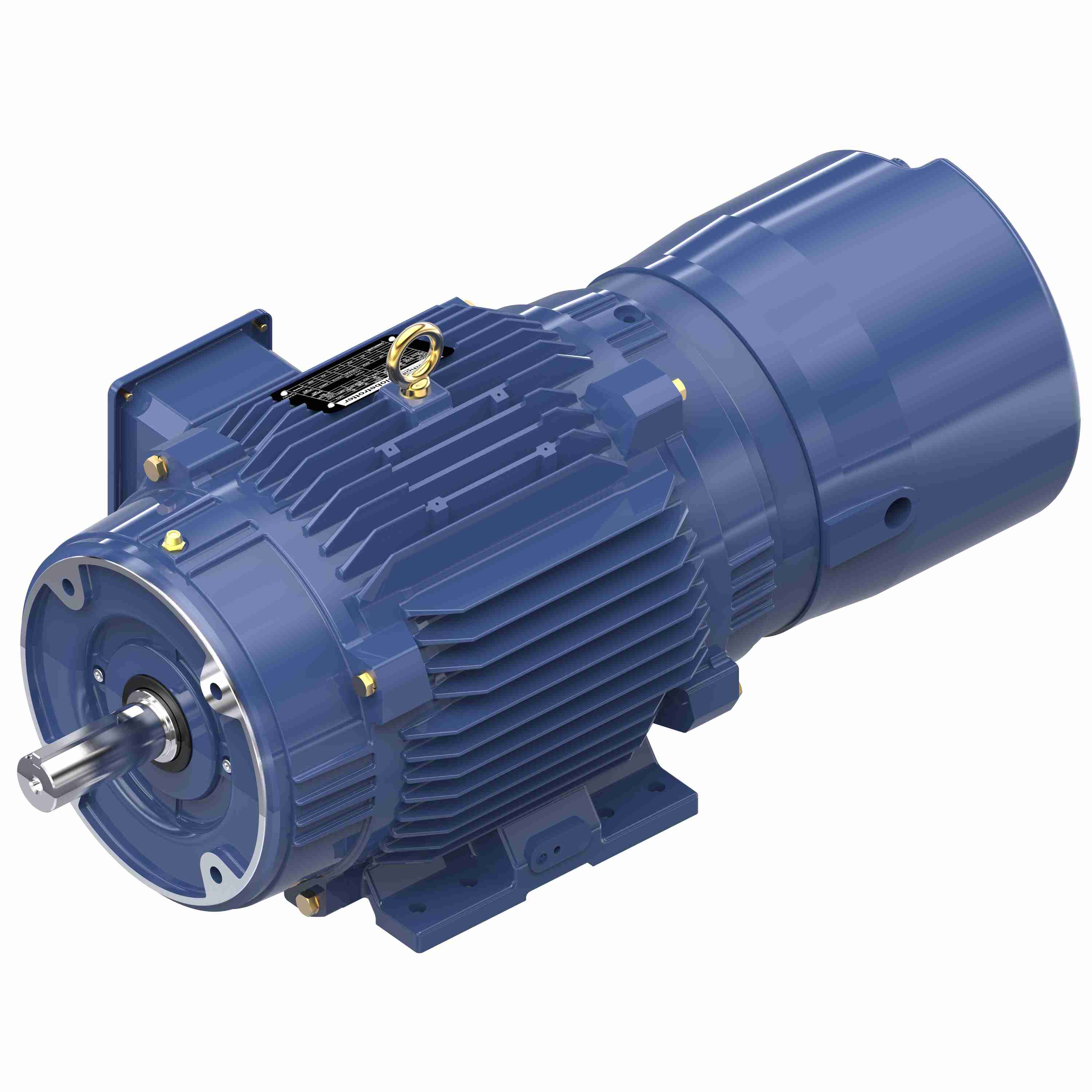 Marathon Electric Inverter (Vector) Duty Motor