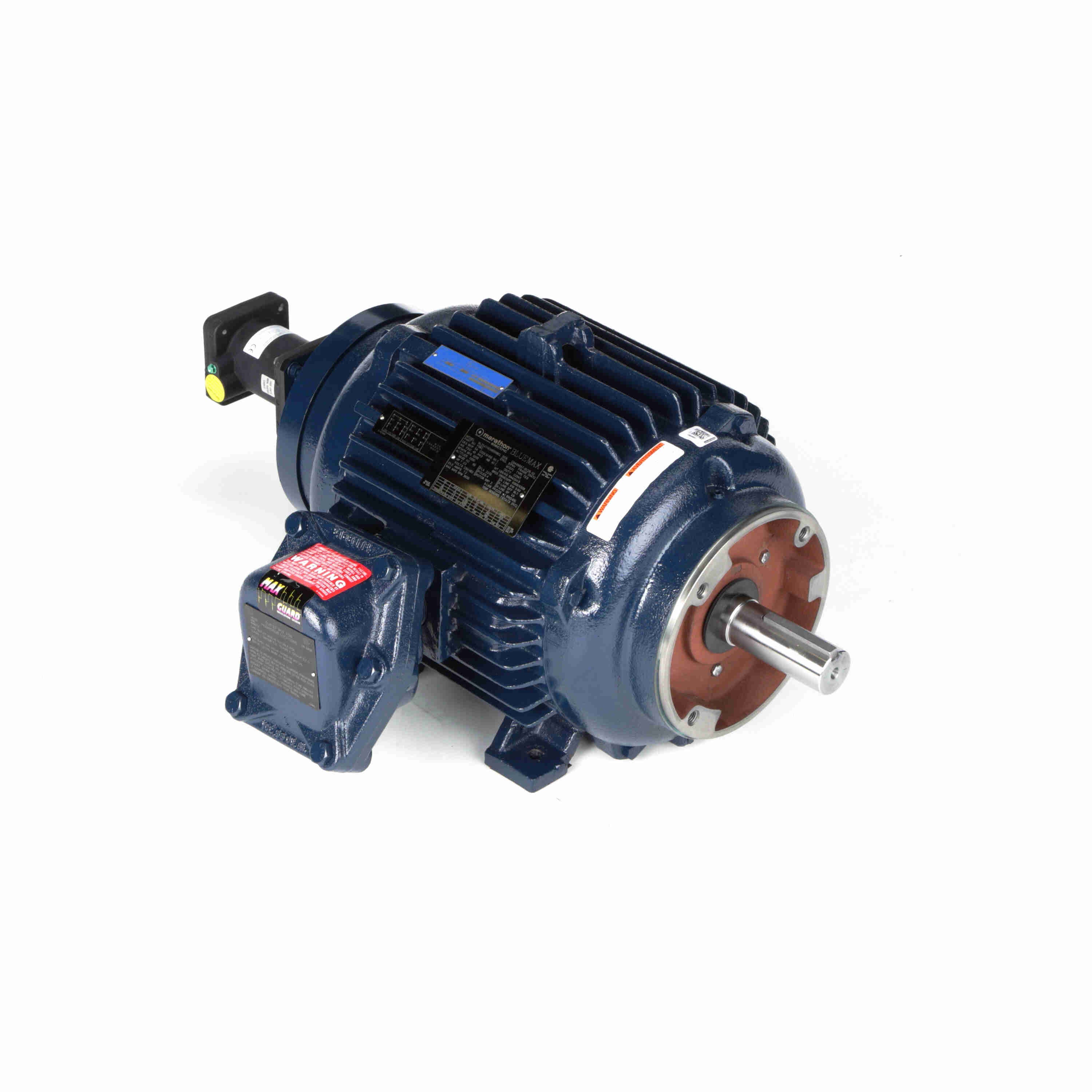 Marathon Electric Inverter (Vector) Duty Motor