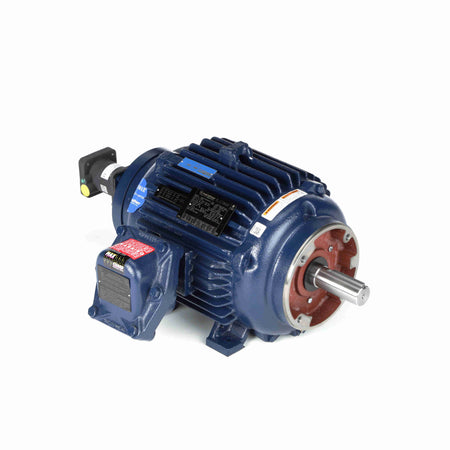 Marathon Electric Inverter (Vector) Duty Motor