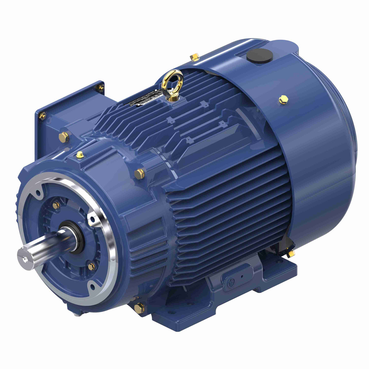 Marathon Electric Inverter (Vector) Duty Motor