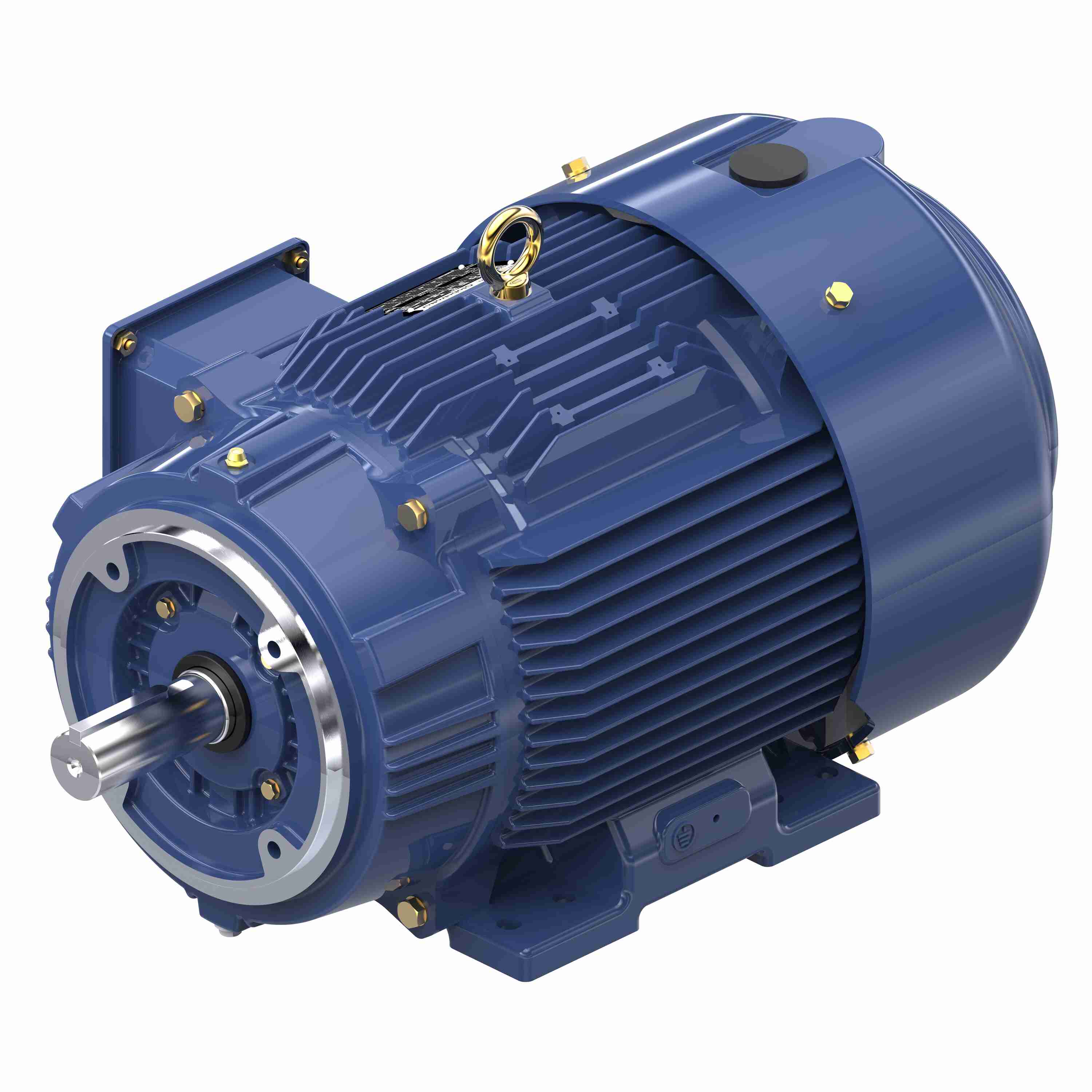 Marathon Electric Inverter (Vector) Duty Motor