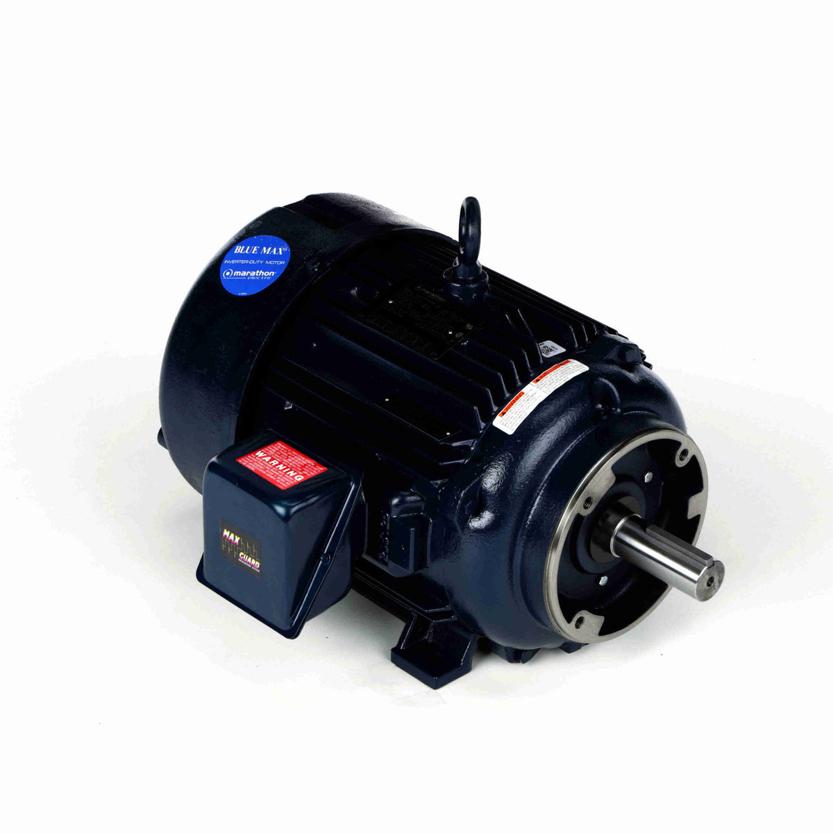 Marathon Electric Inverter (Vector) Duty Motor
