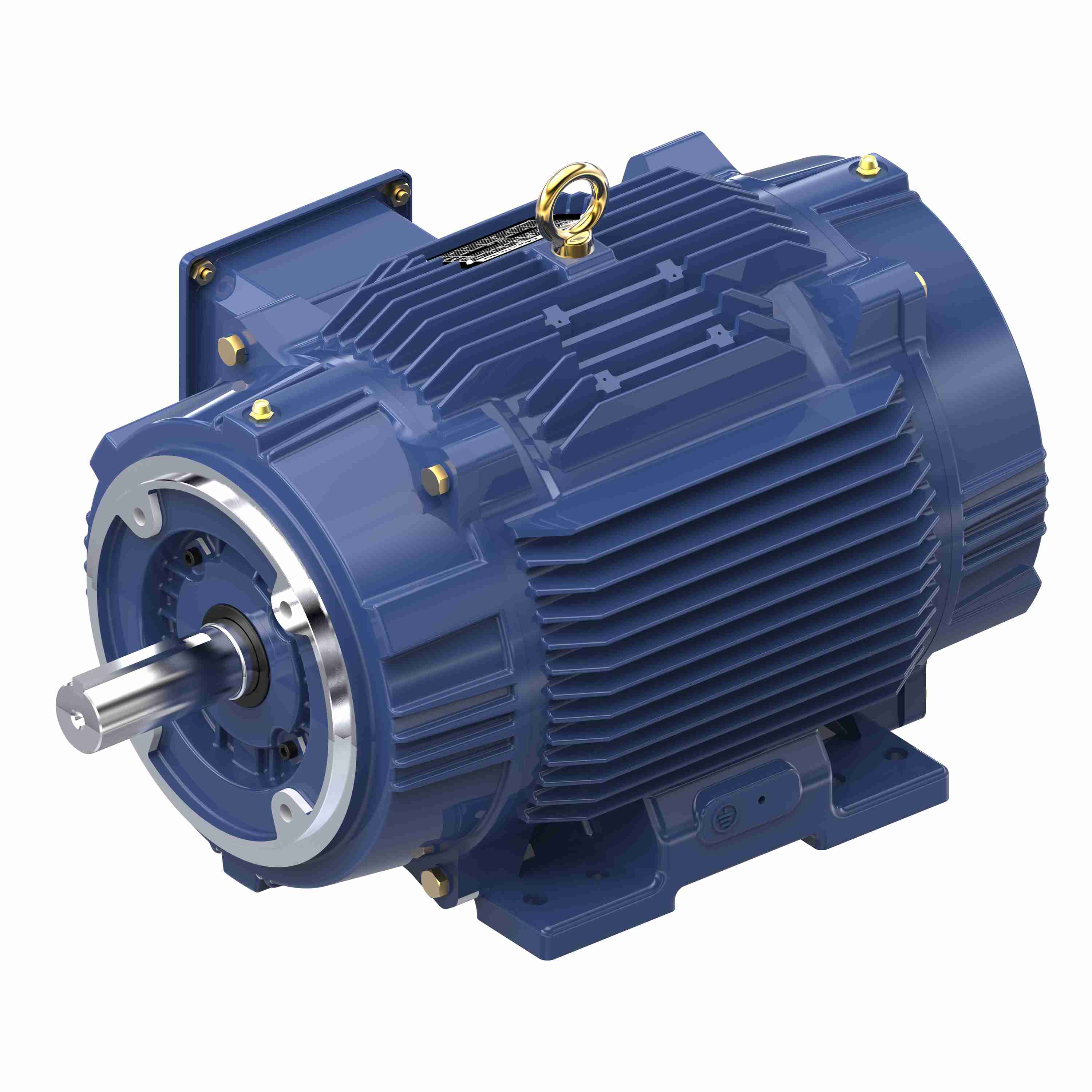 Marathon Electric Inverter (Vector) Duty Motor