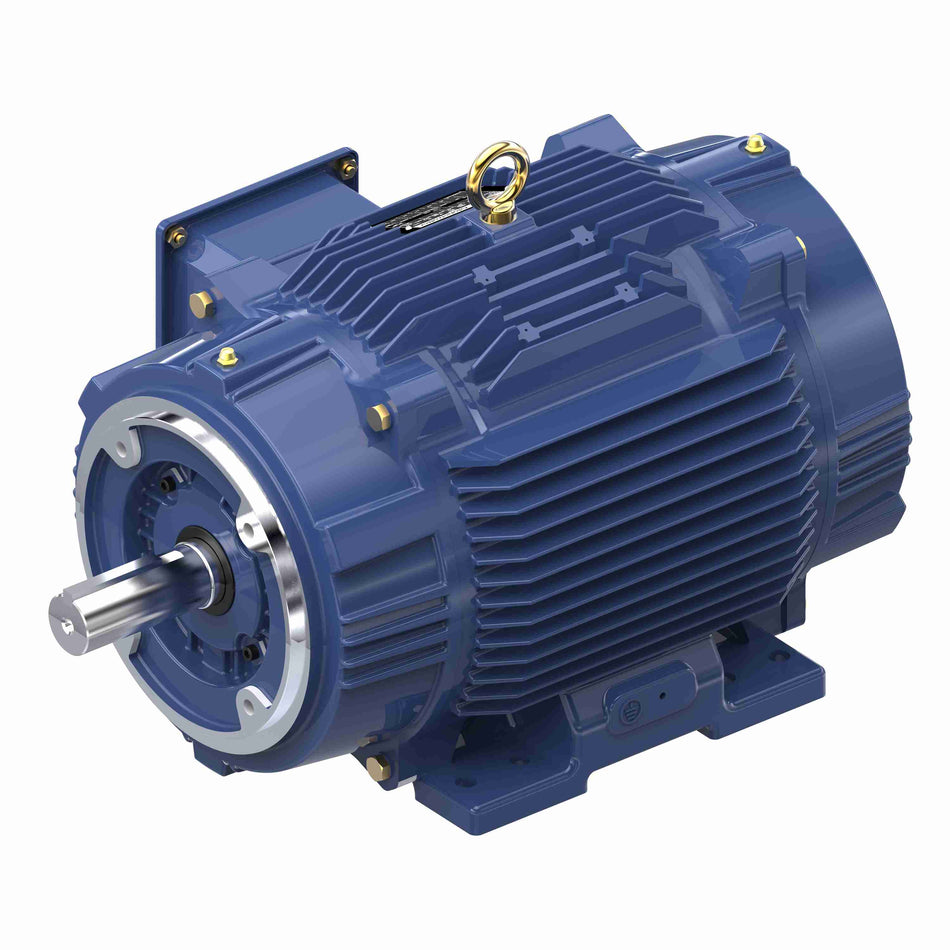 Marathon Electric Inverter (Vector) Duty Motor