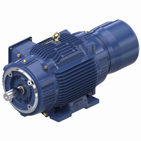 Marathon Electric Inverter (Vector) Duty Motor