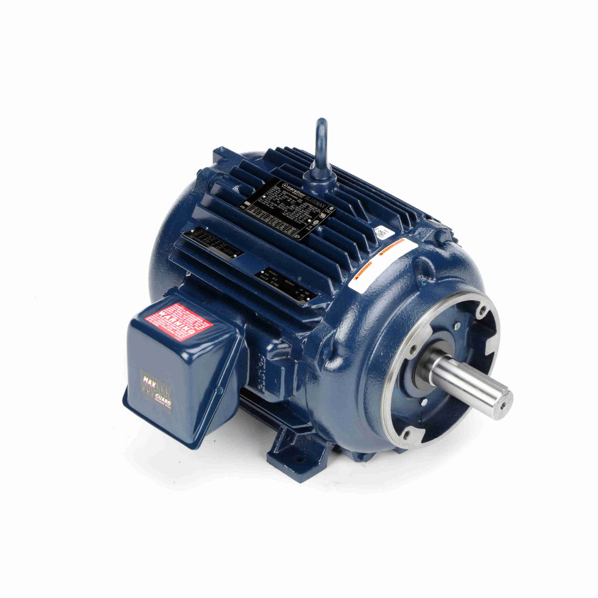 Marathon Electric Inverter (Vector) Duty Motor