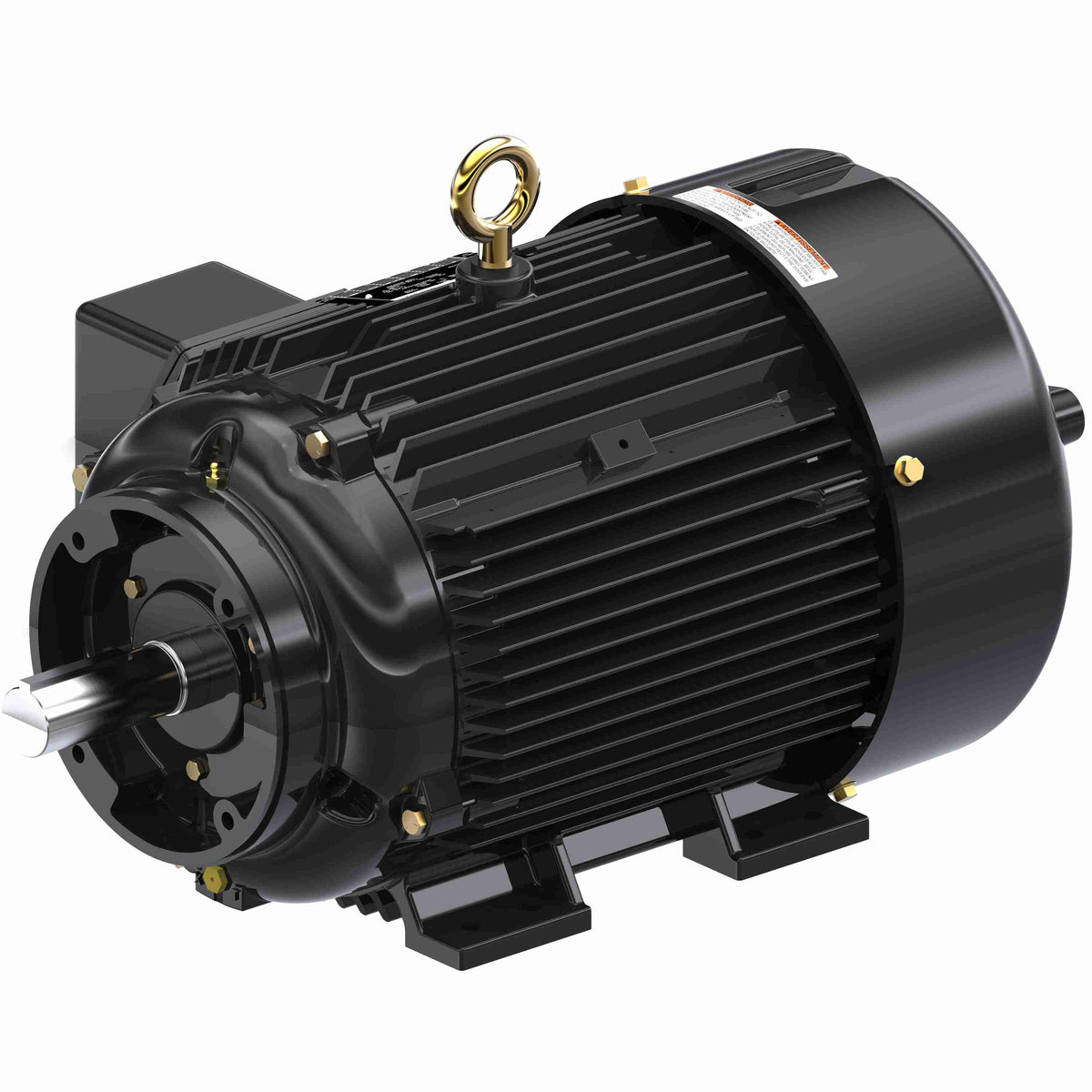Marathon Electric Inverter (Vector) Duty Motor