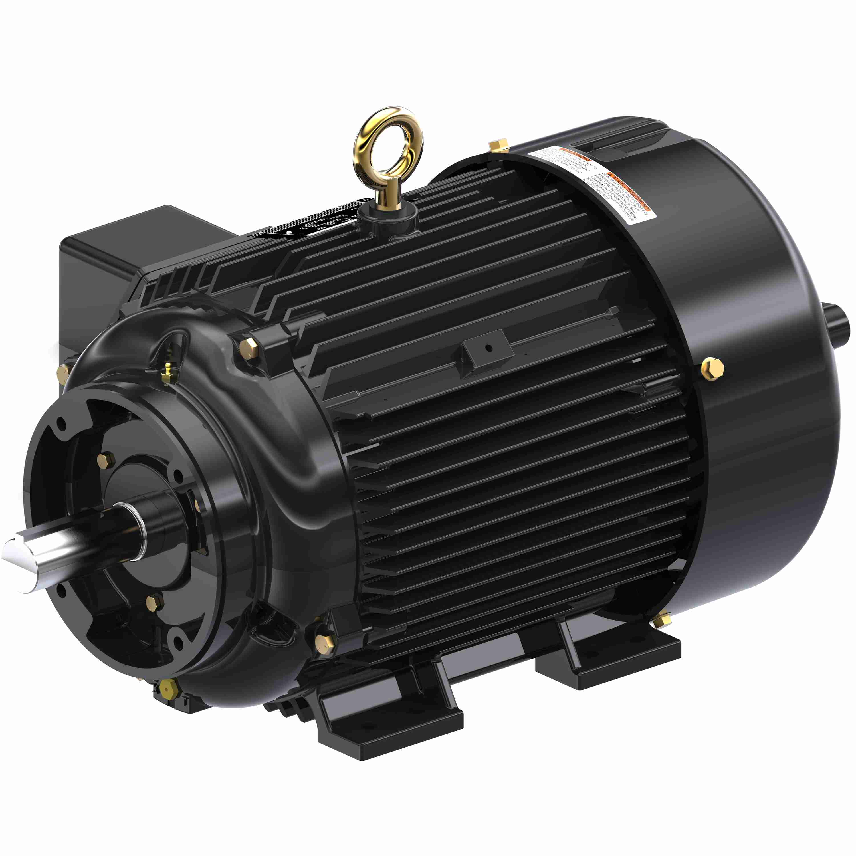 Marathon Electric Inverter (Vector) Duty Motor
