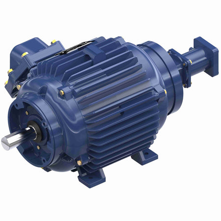 Marathon Electric Inverter (Vector) Duty Motor