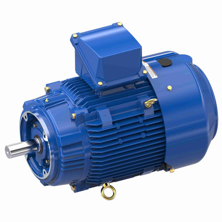 Marathon Electric Severe Duty Motor, 20 HP, 3 Ph, 60 Hz, 460 V, 1800 RPM, 256TCV Frame, TEFC