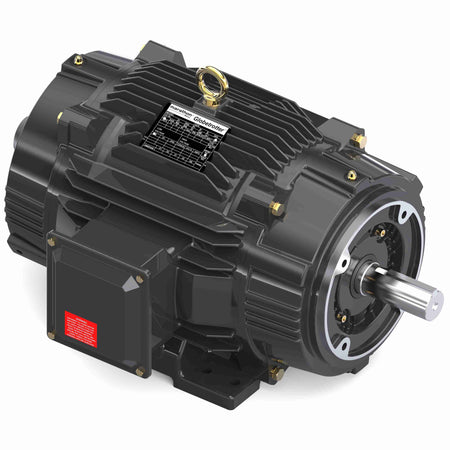 Marathon Electric Inverter (Vector) Duty Motor