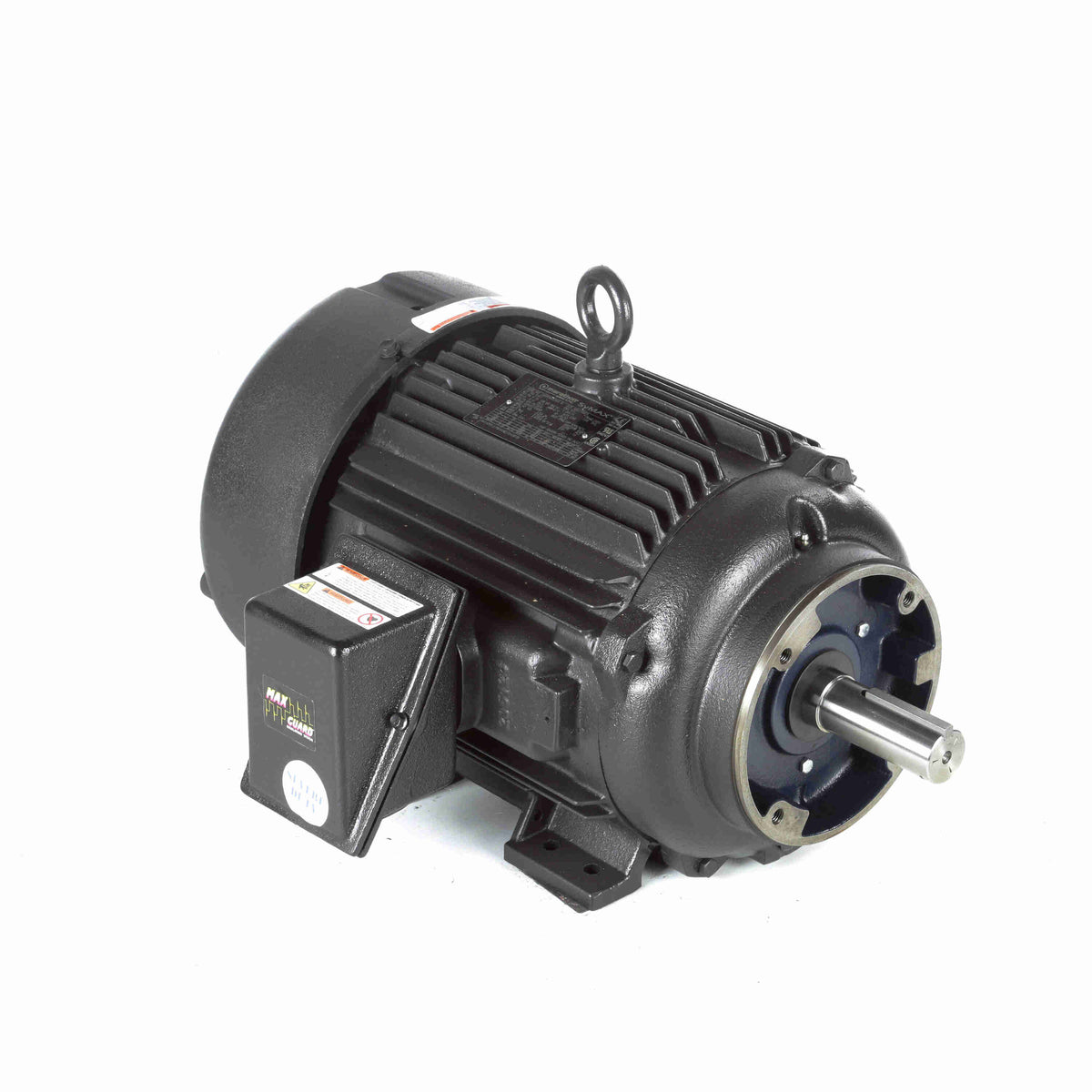 Marathon Electric Inverter (Vector) Duty Motor