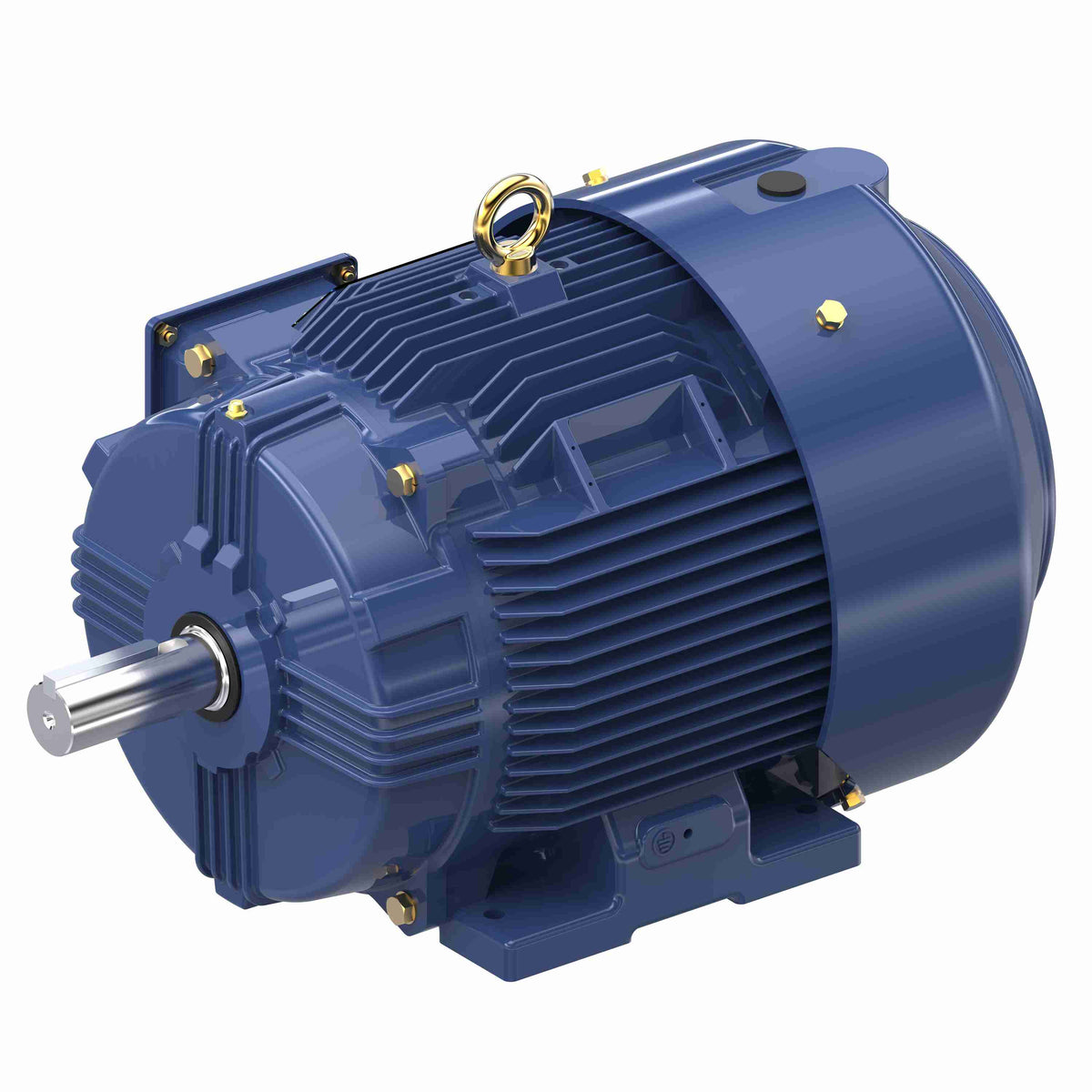 Marathon Electric Inverter (Vector) Duty Motor