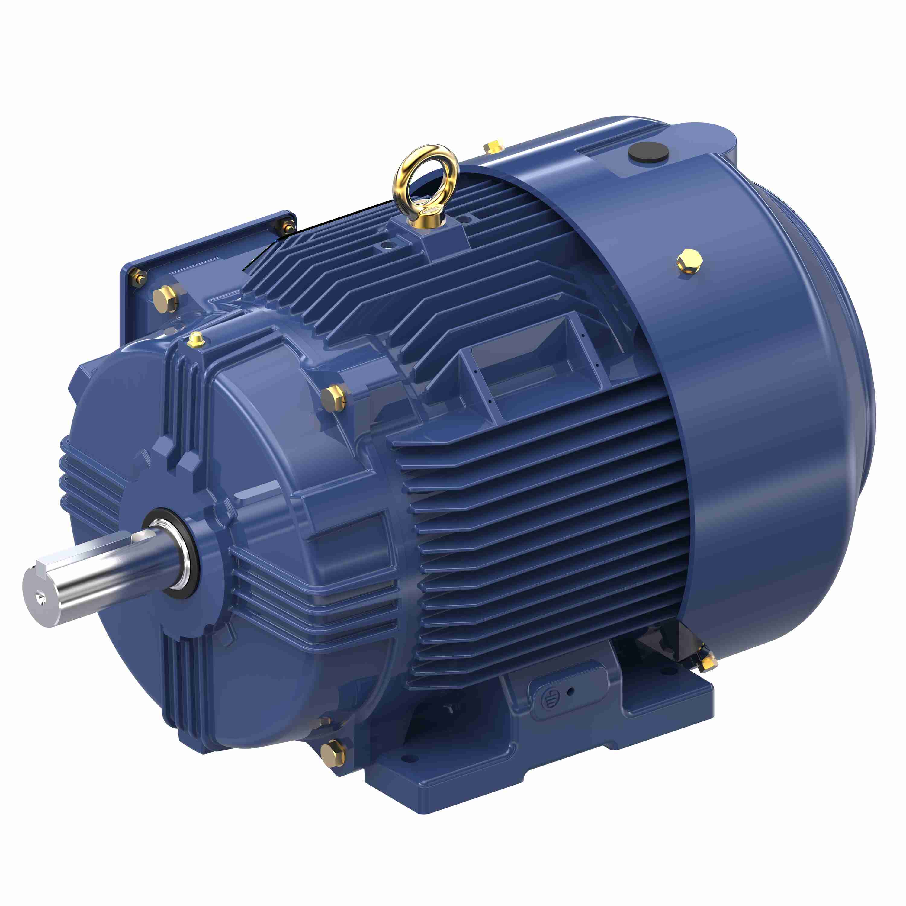 Marathon Electric Inverter (Vector) Duty Motor