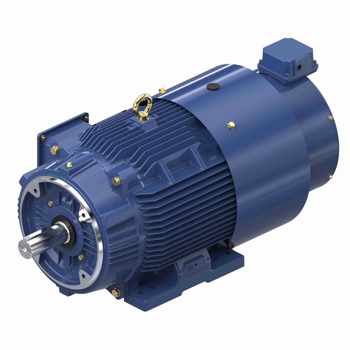 Marathon Electric Inverter (Vector) Duty Motor