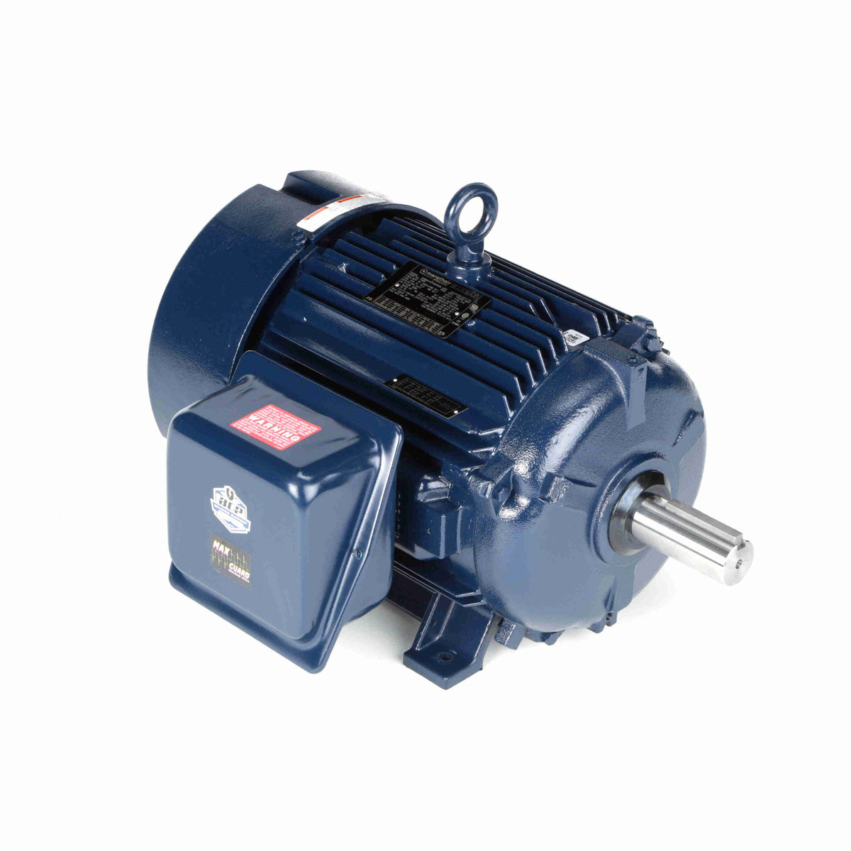 Marathon Electric Inverter (Vector) Duty Motor