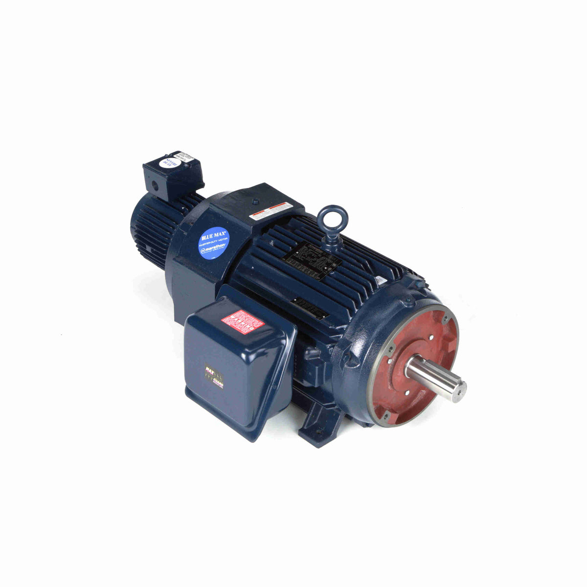 Marathon Electric Inverter (Vector) Duty Motor