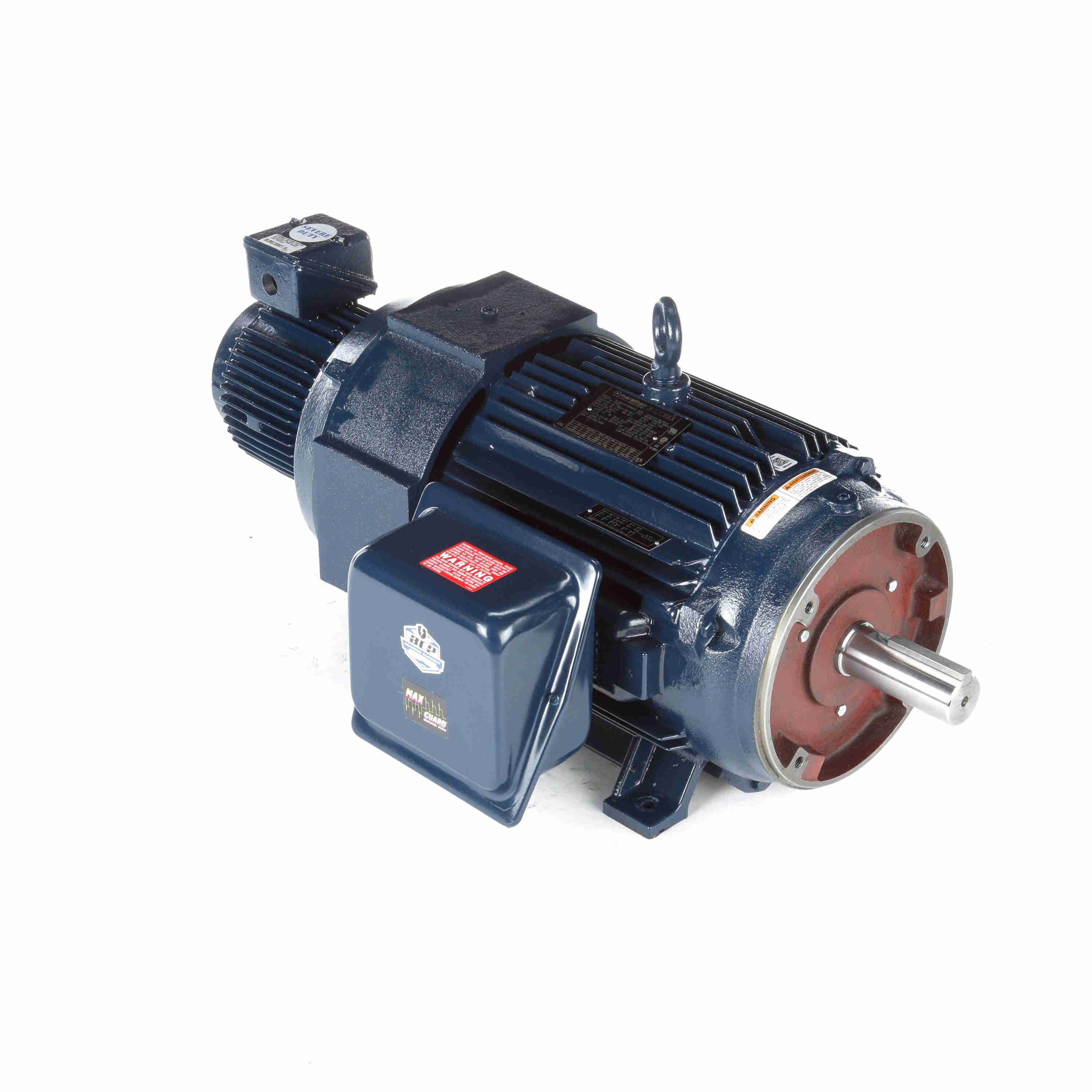 Marathon Electric Inverter (Vector) Duty Motor