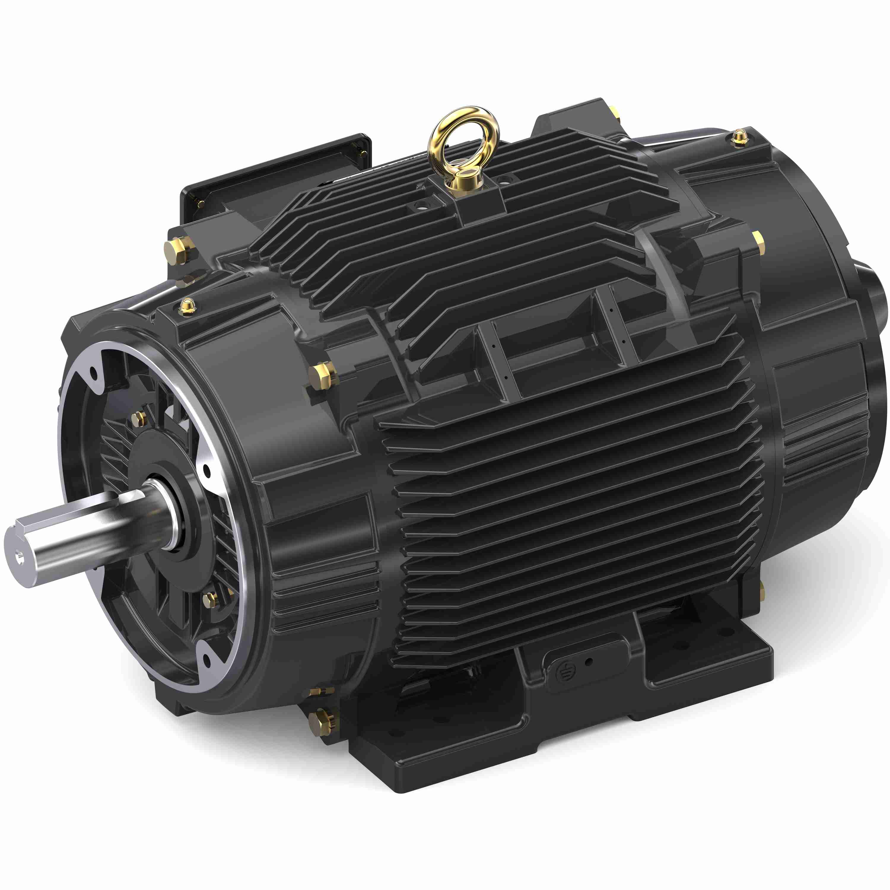 Marathon Electric Inverter (Vector) Duty Motor